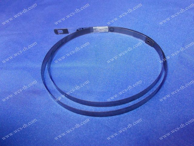 Encoder Strip